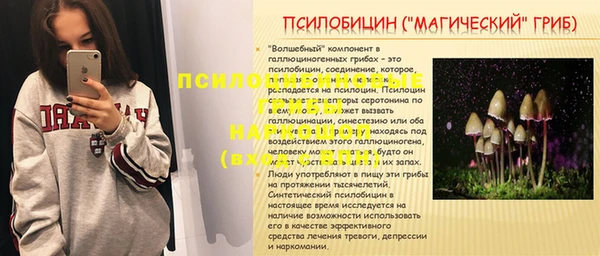 дживик Абаза