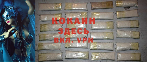 дживик Абаза